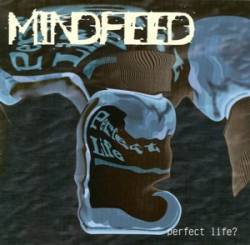 Mindfeed : Perfect Life?